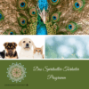 Das Spiritueller Tierheiler Programm