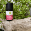 In Balance 5 ml
