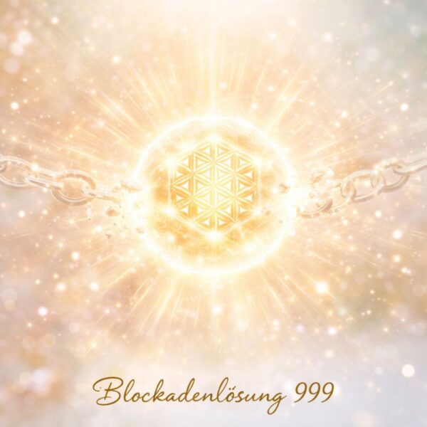 Blockadenlösung 999