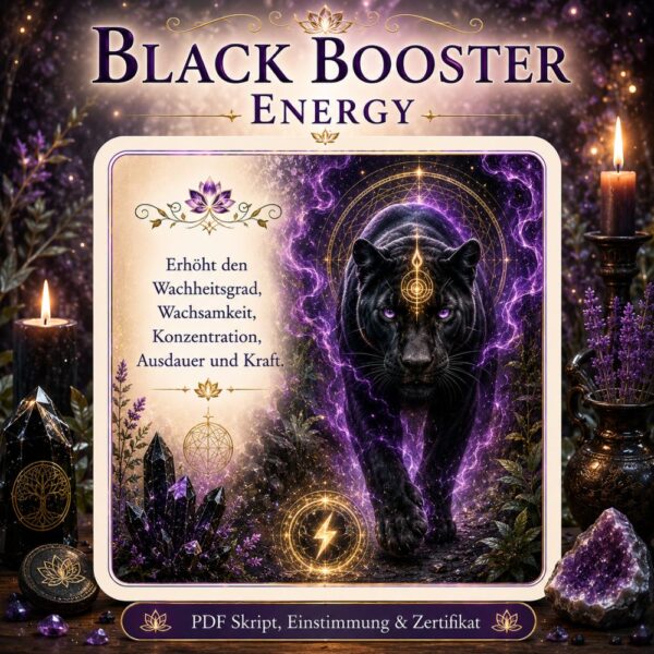 Black Booster Energy-Reiki Energiesystem,Avalon NatureArt Reiki & Esoterik Shop