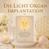 Das Lichtorgan Implantation - Reiki Energiesystem mit Einweihung