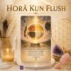 Horà Kun Flush      -Reiki Energiesystem & Einweihung